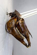 Load image into Gallery viewer, Black Unicorn
