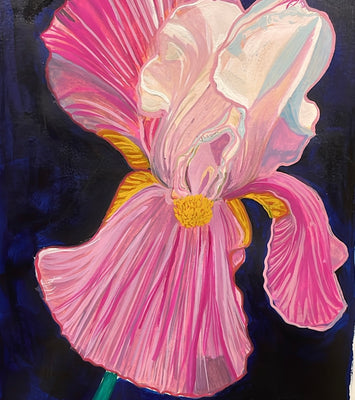 Iris III