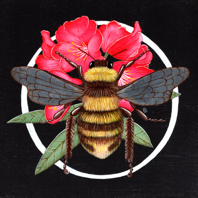 Rhododendron Bee