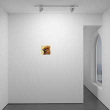 Load image into Gallery viewer, Cedar Waxwing (Bombycilla cedrorum)
