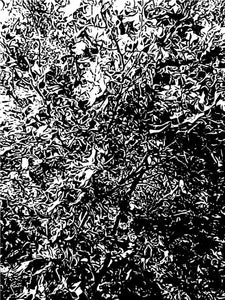 Connection (4)