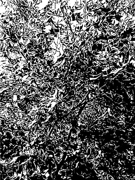 Connection (4)