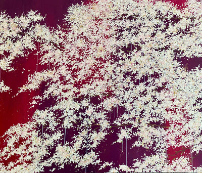 The Cherry Blossom