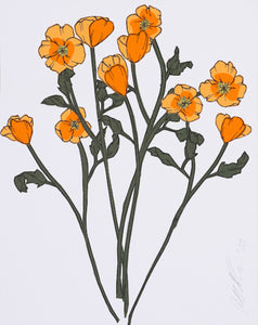 California Poppies II