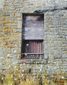 Tenino Window