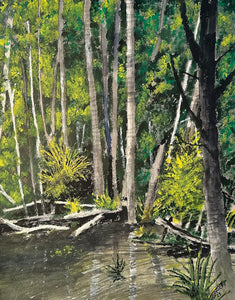 Northwest Lagoon