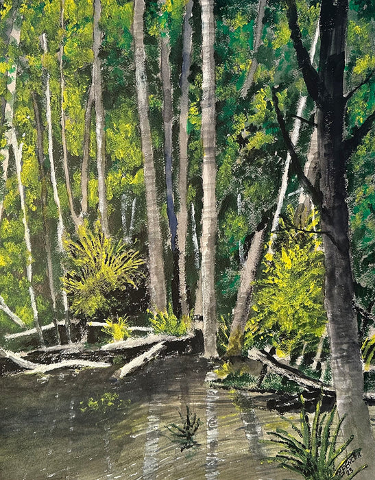 Northwest Lagoon