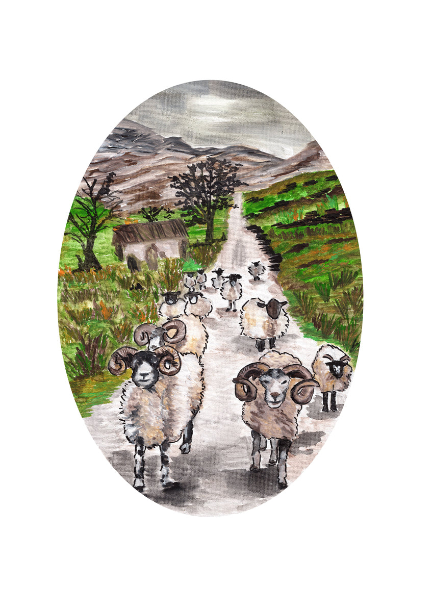Mountain Sheep