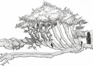 Wooden Skeleton