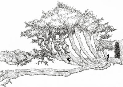 Wooden Skeleton