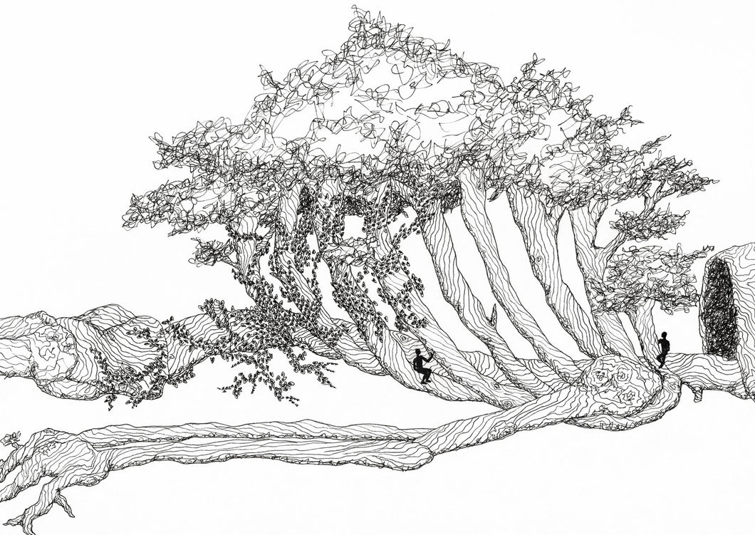 Wooden Skeleton