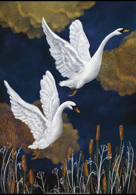 The Swans