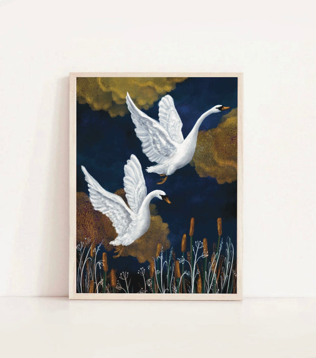 The Swans