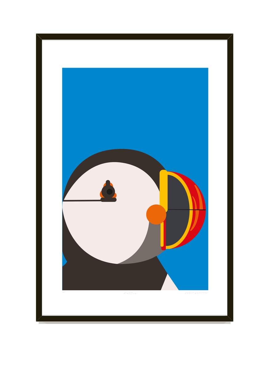 Puffin