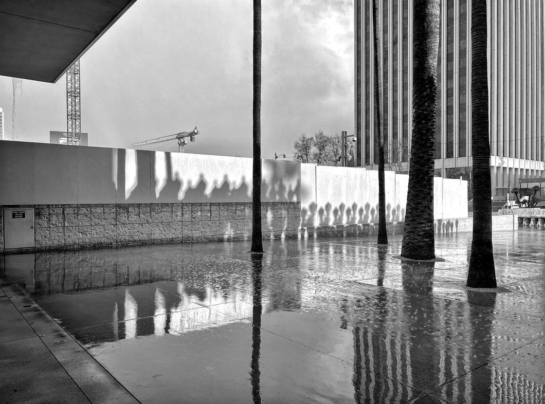 Los Angeles: LACMA after the hail storm