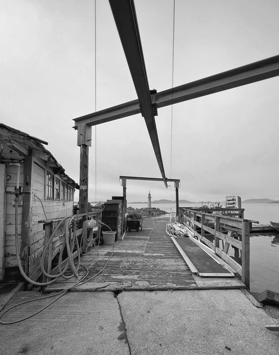 Taylor Shellfish in winter