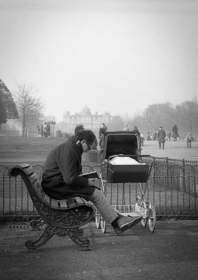 Fractal Expressions - Kensington Gardens, London