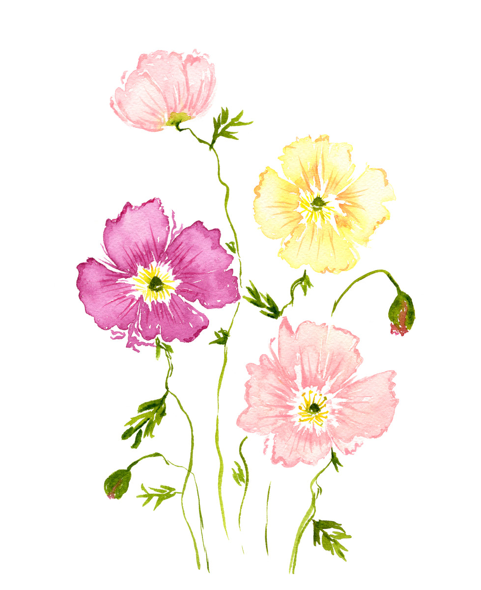 Playful Poppies