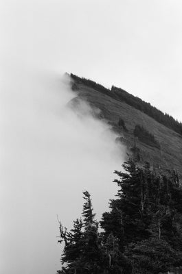 Ridge. Olympic National Park