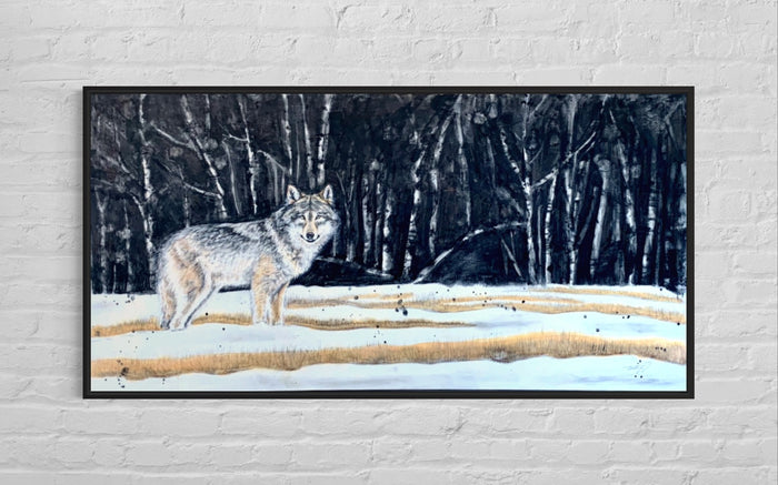 Wondering Wolf