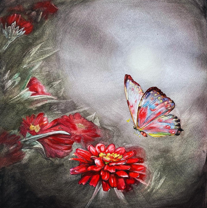 Night Butterfly