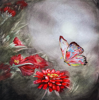 Night Butterfly