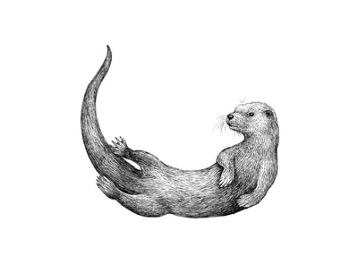 River Otter