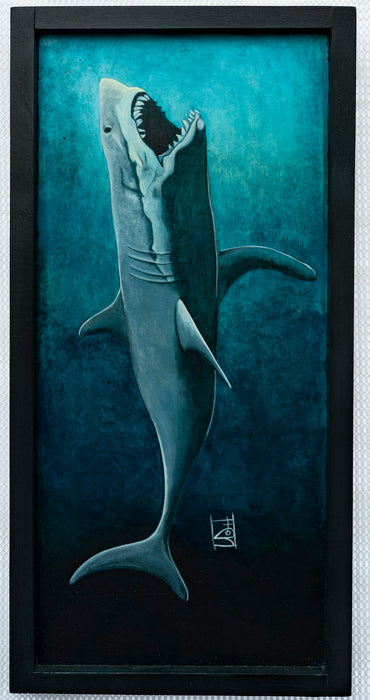 Shark Attack