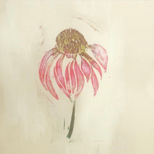Load image into Gallery viewer, Pink cosmos
