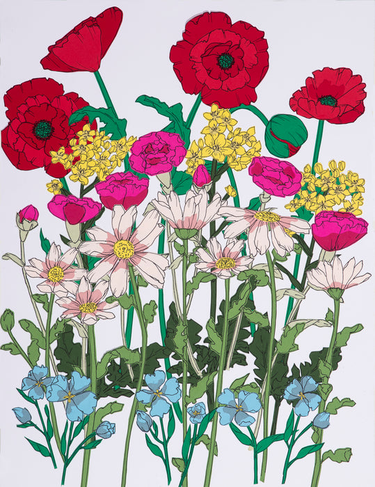 Poppy Burst