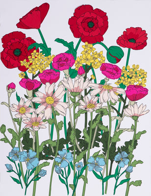 Poppy Burst