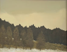Load image into Gallery viewer, &quot;Winter Morning&quot;
