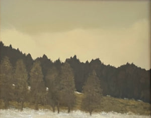 "Winter Morning"