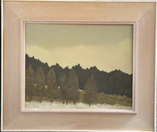 Load image into Gallery viewer, &quot;Winter Morning&quot;
