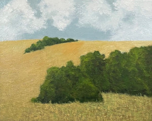 "Marin Hillside"