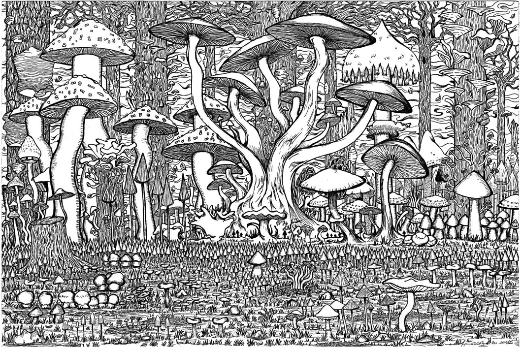Mycotopia