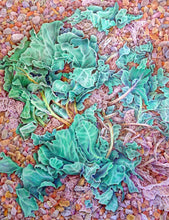 Load image into Gallery viewer, Sea Kale on the Shore
