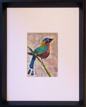 Load image into Gallery viewer, Motmot
