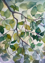 Load image into Gallery viewer, Song of the Trees
