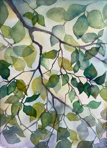 Song of the Trees