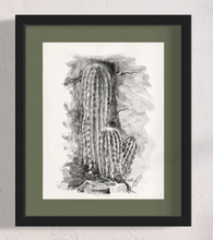Load image into Gallery viewer, Mexican Lime Cactus
