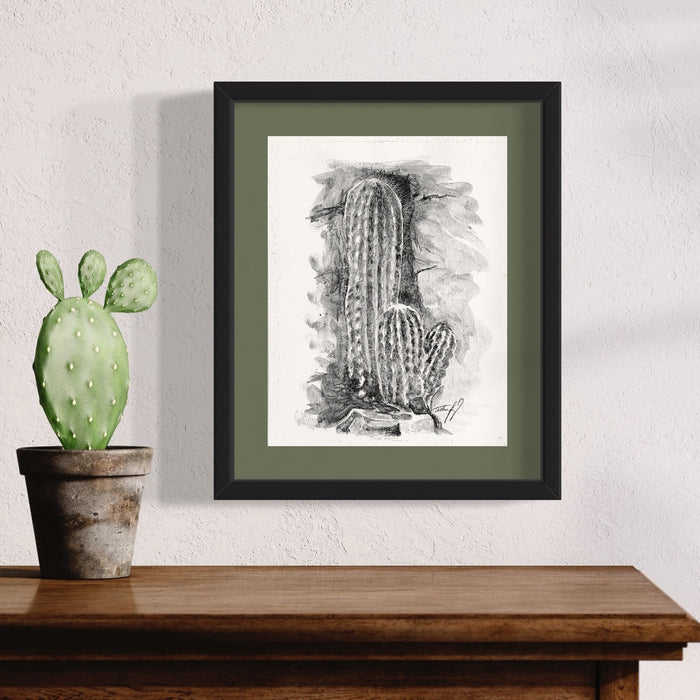 Mexican Lime Cactus
