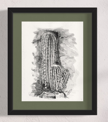 Mexican Lime Cactus