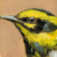 Load image into Gallery viewer, Townsend&#39;s Warbler
