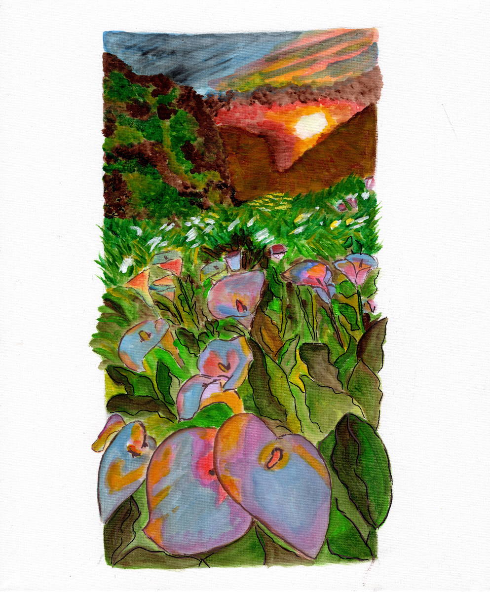 Valley of lilies
