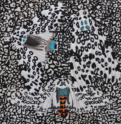 Giant Leopard Moth