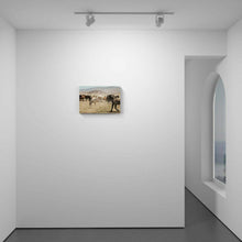 Load image into Gallery viewer, Stallions Sparring
