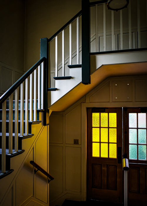 Little Yellow Softness