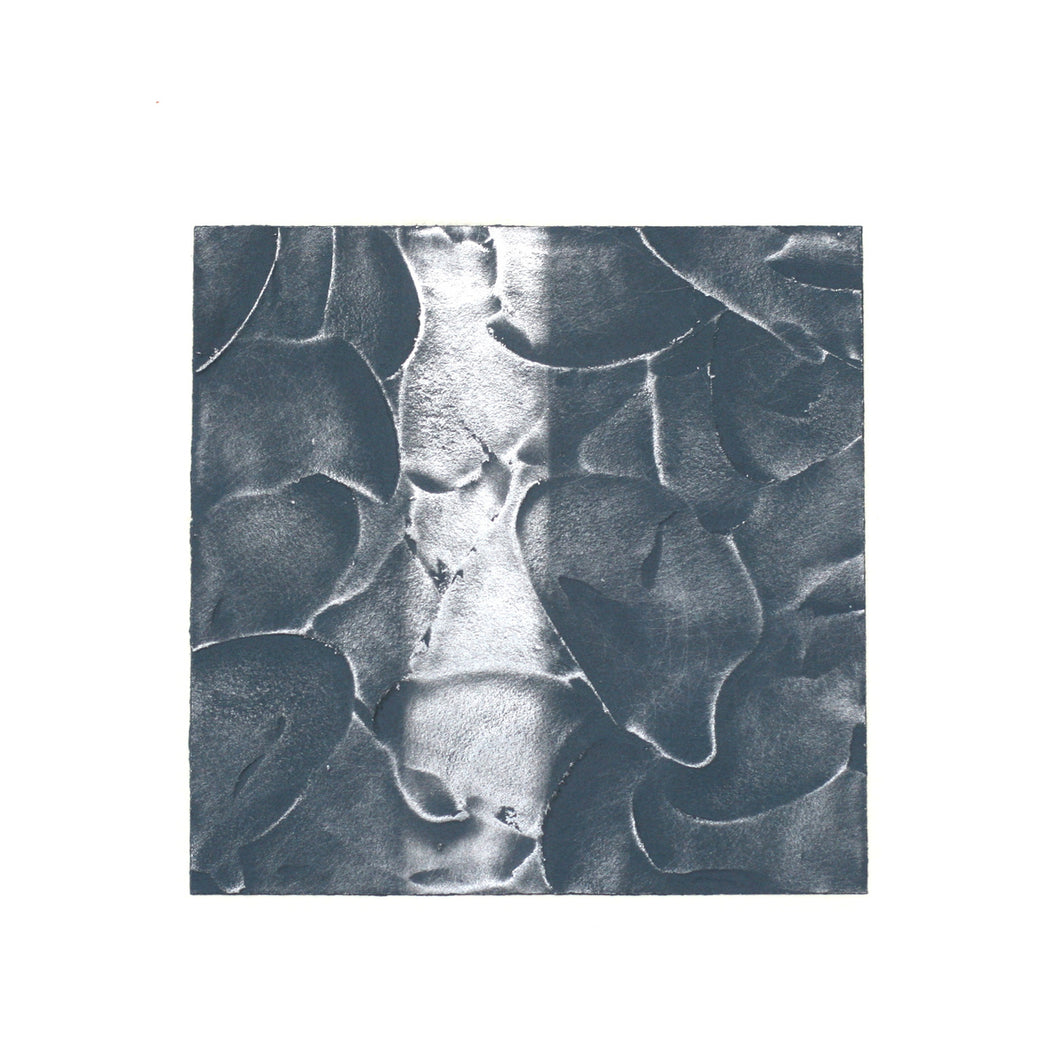 pigment studies no. 68