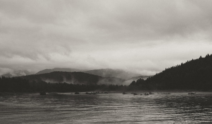Foggy morning on Eagle River